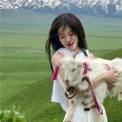 少女情怀尽是诗